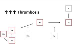 Antithrombin Deficiency [upl. by Pease]