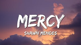 Shawn Mendes  Mercy Lyrics [upl. by Moncear20]