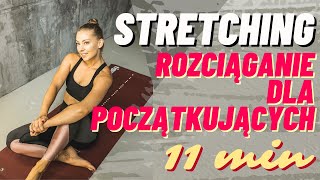 Stretching dla początkujących rozciąganie  Paula Piotrzkowska [upl. by Keriann]