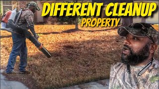 Easiest Pine needle cleanup by my self [upl. by Tiraj519]