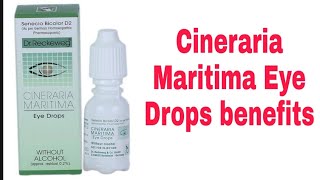 Cineraria Maritima Eye Drops benefits [upl. by Rico]