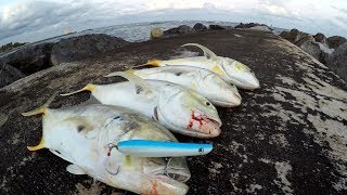 Fish CANNOT Resist This LURE Jetty Fishing Florida [upl. by Steck]