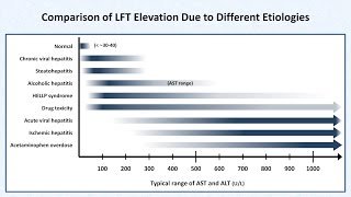 Interpretation of LFTs Liver Function Tests [upl. by Meijer589]