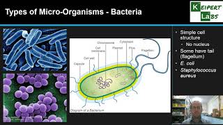 Types of MicroOrganisms [upl. by Sugar405]