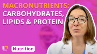 Macronutrients Carbohydrates Lipids Protein  Nutrition Essentials for Nursing  LevelUpRN [upl. by Zarihs]