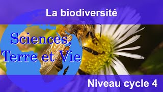 La biodiversité [upl. by Silvain]