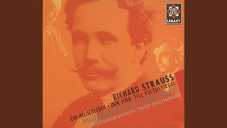 Strauss Richard  Ein Heldenleben Op40  I Der Held [upl. by Townsend469]