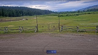 Turpin Meadow Ranch  Near Grand Teton Park [upl. by Hayifas]