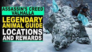 Assassins Creed Valhalla  LEGENDARY ANIMAL Guide  Locations and Rewards [upl. by Rhoades]