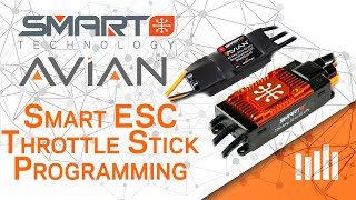 Spektrum Smart Technology  Avian Smart ESC Throttle Stick Programming [upl. by Selia]