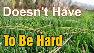 The Best Ways To Pick Pine Needles Up Off The Lawn [upl. by Nawat]