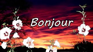 Bonjour très belle journée à toi [upl. by Ateerys]