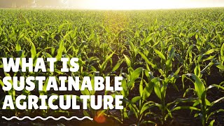 What is Sustainable Agriculture And How We Practice It [upl. by Uni505]