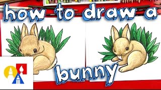 How To Draw A Realistic Bunny [upl. by Odnomra]