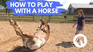 HOW TO PLAY WITH A HORSE [upl. by Traci]