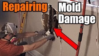 How To Repair Mold Damaged Walls  THE HANDYMAN [upl. by Yendor]