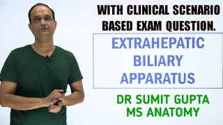 Anatomy  Hepatic Portal Circulation EXPLAINED [upl. by Weidner]