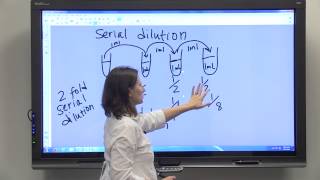 Dilution Series amp Serial Dilution [upl. by Nadaha]