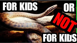 Are Childrens Pythons Actually A Beginners Snake [upl. by Atirihs]