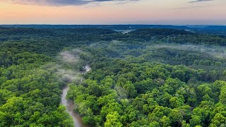 Amazon rainforest  Ecosystems [upl. by Chickie497]