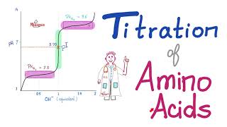 Titration of Amino Acids  pH pKa1 and pKa2  Isoelectric Point Amino Acids Part 4 [upl. by Hennessey]