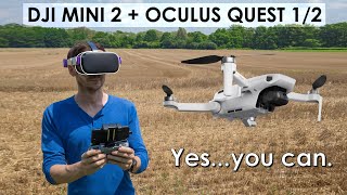 Fly The DJI Mavic Mini or Mini 2 With An Oculus Quest Or Quest 2 [upl. by Bohner]