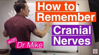 How To Remember Cranial Nerves [upl. by Cerell88]