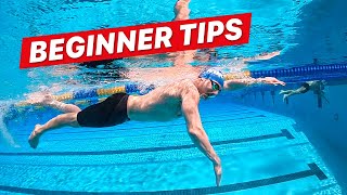 How to Swim Freestyle for Beginner Adults [upl. by Casi461]