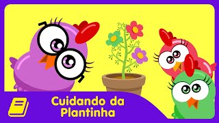 Galinha Pintadinha Mini  Historinha  Cuidando da Plantinha [upl. by Doi]