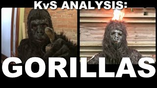 The Gorilla Analysis [upl. by Settle]