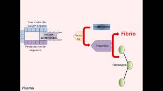 Heparin  Mechanism of Action [upl. by Akeenahs984]