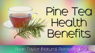 Pine Needle Tea Benefits and Recipe [upl. by Meirrak]