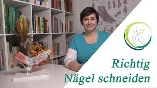 Richtig Nägel schneiden podologinandrea [upl. by Eeraj]