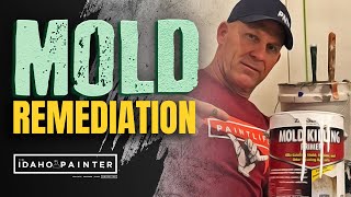 Mold Remediation How to Get Rid of Mold [upl. by Shay]