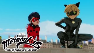 Miraculous Ladybug  ANIMAN  Ladybug and Cat Noir [upl. by Okoy807]