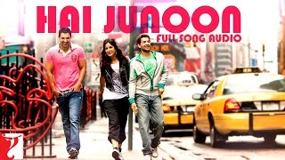 Audio  Hai Junoon  Full Song  New York  KK  Pritam  Sandeep Shrivastava [upl. by Lohse]