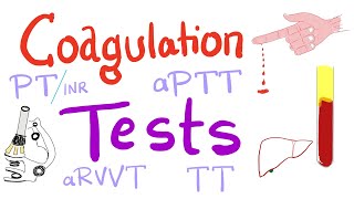 Coagulation Tests  PT aPTT TT Fibrinogen Mixing Studies [upl. by Akiv]