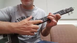 Playing Chords on the 3 string Cigar Box Guitar [upl. by Niboc]