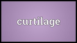 Curtilage Meaning [upl. by Noek544]