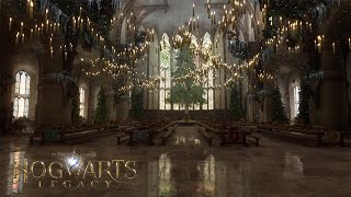 Christmas At Hogwarts  Harry Potter Castle Tour [upl. by Arymas]