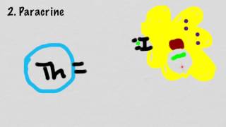 Mechanisms Of Cytokine Signaling [upl. by Nairoc362]