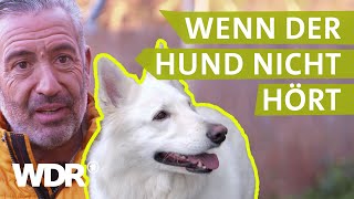 Dem Hund konsequent Grenzen aufzeigen  Hunde verstehen  S03E03  WDR [upl. by Ailedua887]