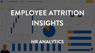 HR Analytics Insights on Employee Attrition [upl. by Onitsuaf]