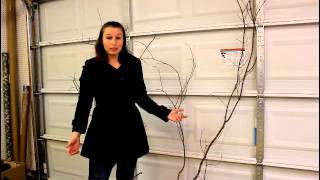 Lighted Tree Branch Tutorial [upl. by Mohandas478]