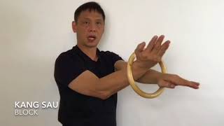 Wing Chun Chi Sau Ring Training Techniques [upl. by Swetiana287]