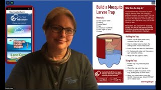 Build a Mosquito Larvae Trap [upl. by Anailuy]