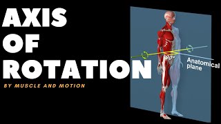 Understanding Axes of MovementRotation [upl. by Yortal]