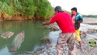 MIRA ASÍ SE PESCAN A LAS TILAPIAS CON ANZUELO  Pesca de Tilapias en Río [upl. by Aneehsirk]