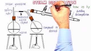 Organic Practical Setup 10 Steam distillation [upl. by Hamid367]