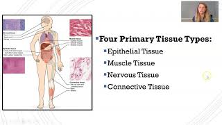 Introduction to Histology [upl. by Va]